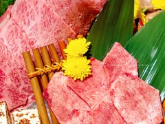 -岚山日本料理(珠江新城店)