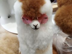 -国药中服免税(北京坊店)