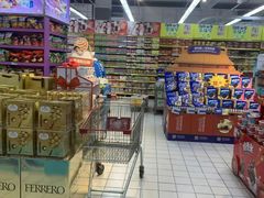 -世纪联华超市(浦电路店)