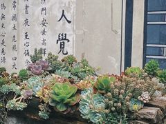 -寂照庵