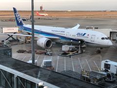 -全日本空输株式会社(上海办事处)