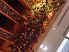 -野山舂·贵州现舂酸汤火锅(鸿通城店)
