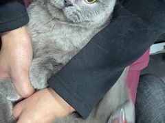 -宠颐生嘉德动物医院