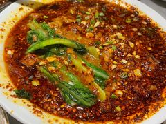 -辛香汇·锦里丨现炒川菜(和信宝龙店)