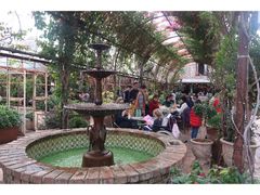 -The Grounds of Alexandria