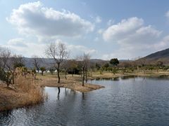 -南北湖风景区
