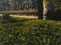-抱犊寨风景区