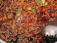 -味之绝热血美蛙鱼火锅(中坝店)