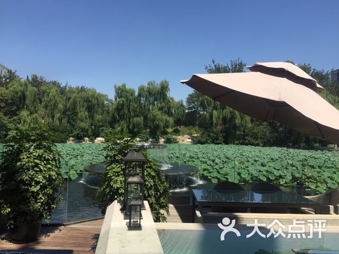 茉莉餐厅(工体店)-图片-北京美食-大众点评网