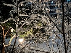 -南京航空航天大学(将军路校区)