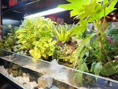 -牛品福潮汕牛肉火锅(旺庄店)