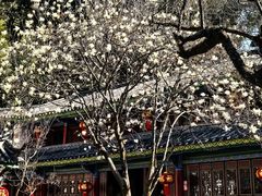 -黑龙潭公园