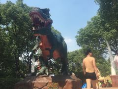 -热带风暴水上乐园(新镇路)