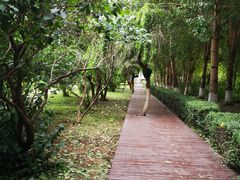 -沈阳职业技术学院