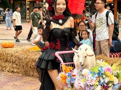 -灵玲国际马戏城