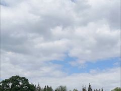 -上海滨江森林公园