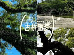 -温州博物馆