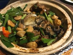 -青叶202都市餐厅(迪诺水镇店)