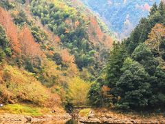 -新安江山水画廊风景区