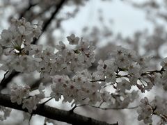 -苏州上方山国家森林公园
