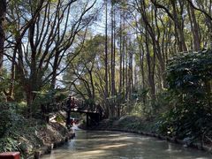 -同里国家湿地公园