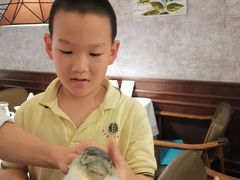 -肆月河豚·新淮扬(金融街店)