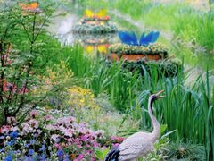 -上海共青森林公园