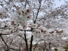 -上海辰山植物园