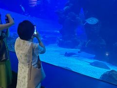 -成都浩海立方海洋公园