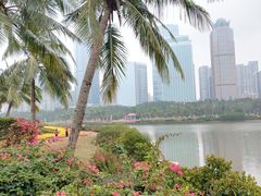 -万绿园