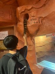 -Zoolung Zoolung动物主题公园(海信广场店)