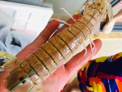 -鸿港海鲜批发市场