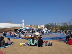 -九龙湖公园