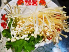 -龙厂长老火锅(抚琴店)