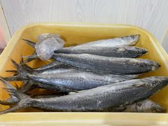 -铁亭子豆腐馆(振兴街店)