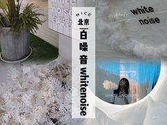 -白噪音White Noise·798概念店