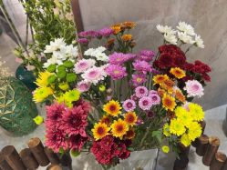 -雅曼妮spa美容养生