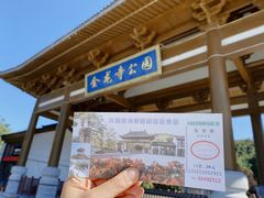 -金龙寺国家森林公园