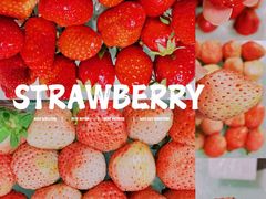 -浦东食品城(华诚大厦店)