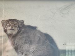 -青藏高原野生动物园