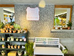 -思南书局(复兴中路店)