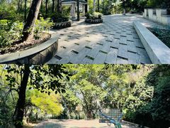 -南岗山公园