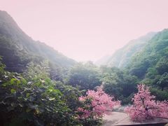-罗田天堂寨风景区