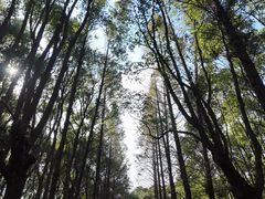 -同里国家湿地公园
