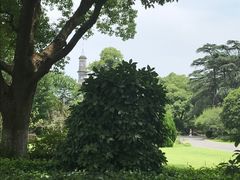 景观位-浙江西子宾馆·瑶园咖啡厅