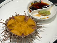 黄金胆-常鲜楼常来尝鲜海胆馆(星海店)
