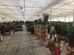-菊园百果园