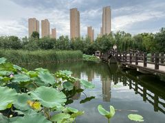 -前关湿地公园