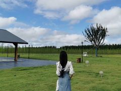 -黄海国家森林公园