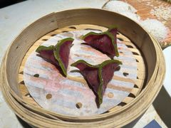 -点都德·毕德寮